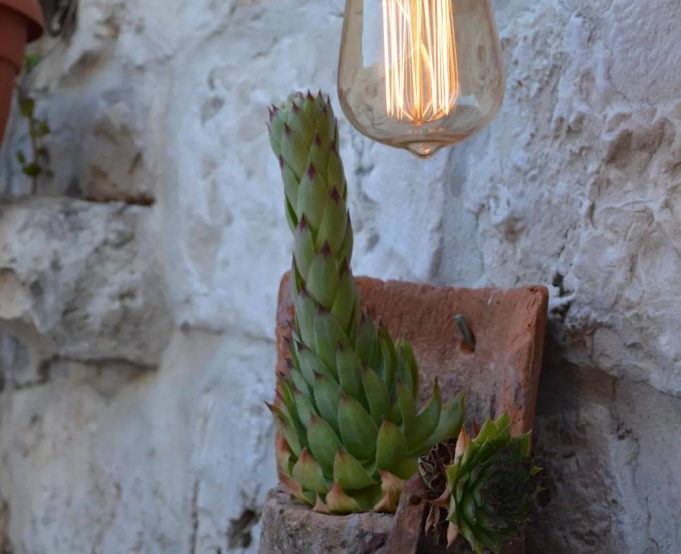 Villa Residence Burgus-Antium Trogir